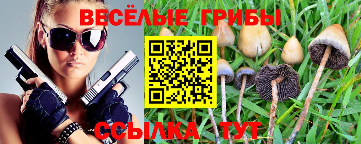 Майкоп  Галлюциногенные грибы GOLDEN TEACHER  Вход с VPN 