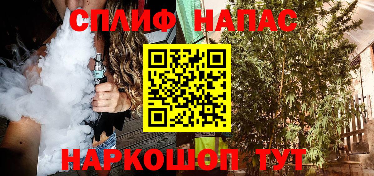 Канабис марихуана  Марихуана VHQ  Конопля гибрид  Майкоп  Вход с VPN  Каннабис сатива 